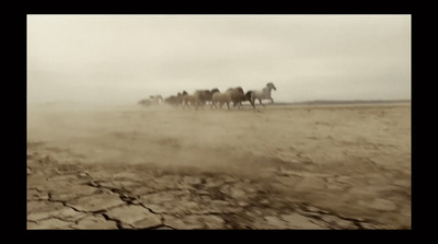 a herd of horses walking across a dry grass field