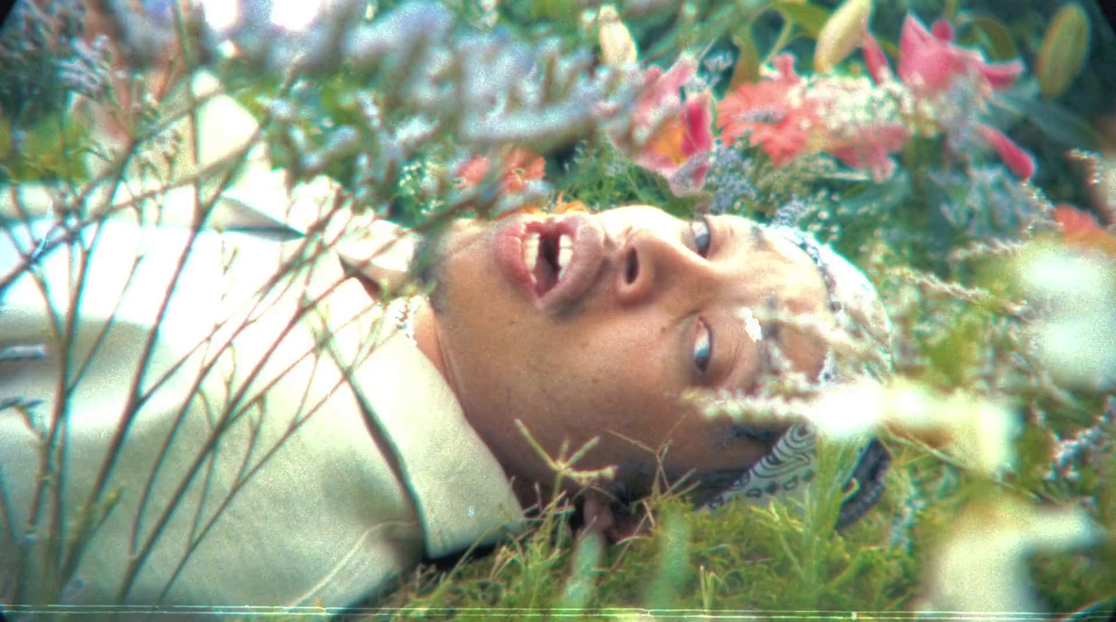 a man laying down in a field of flowers