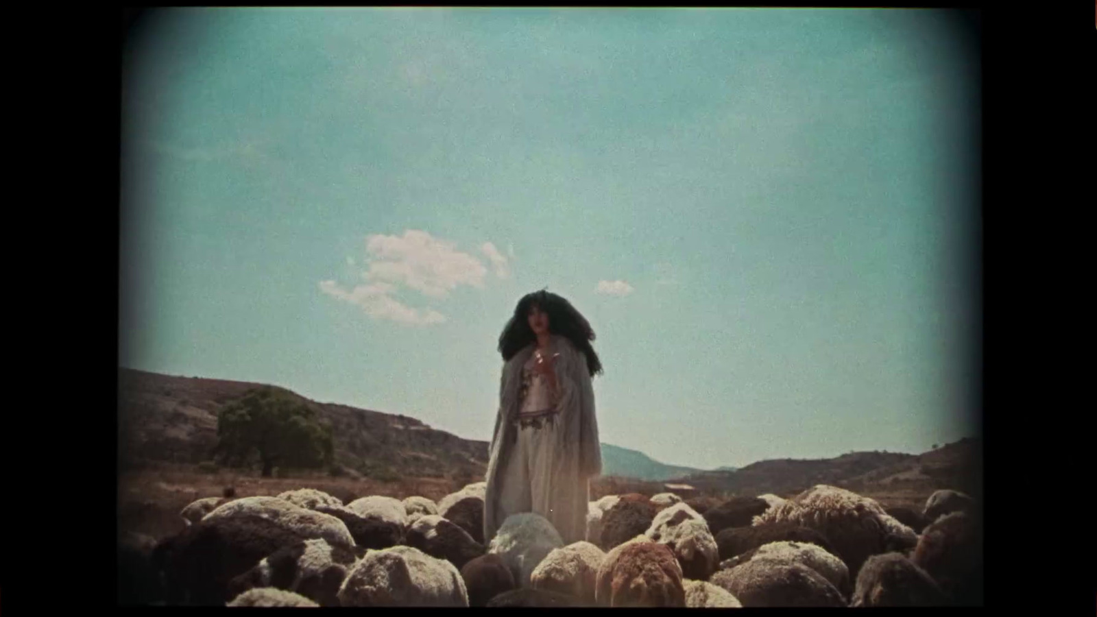 a woman standing in a field full of rocks