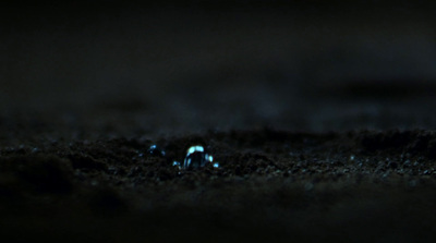 a blurry image of a small white object in the dark