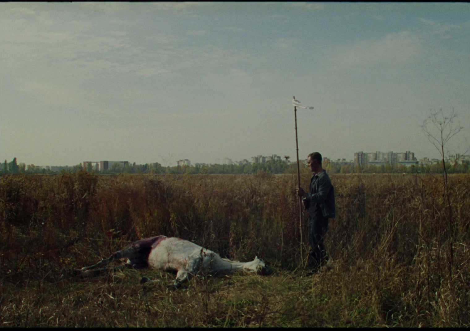 a man standing next to a dead animal in a field