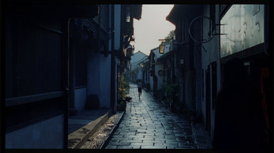 a person walking down a cobblestone street