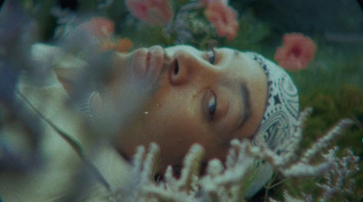 a woman laying down in a field of flowers