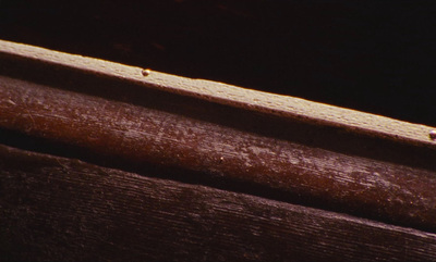 a close up of a piece of wood with water droplets on it