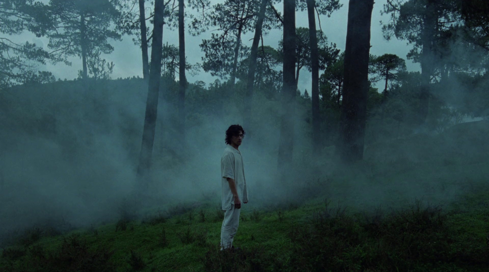 a man standing in the middle of a forest