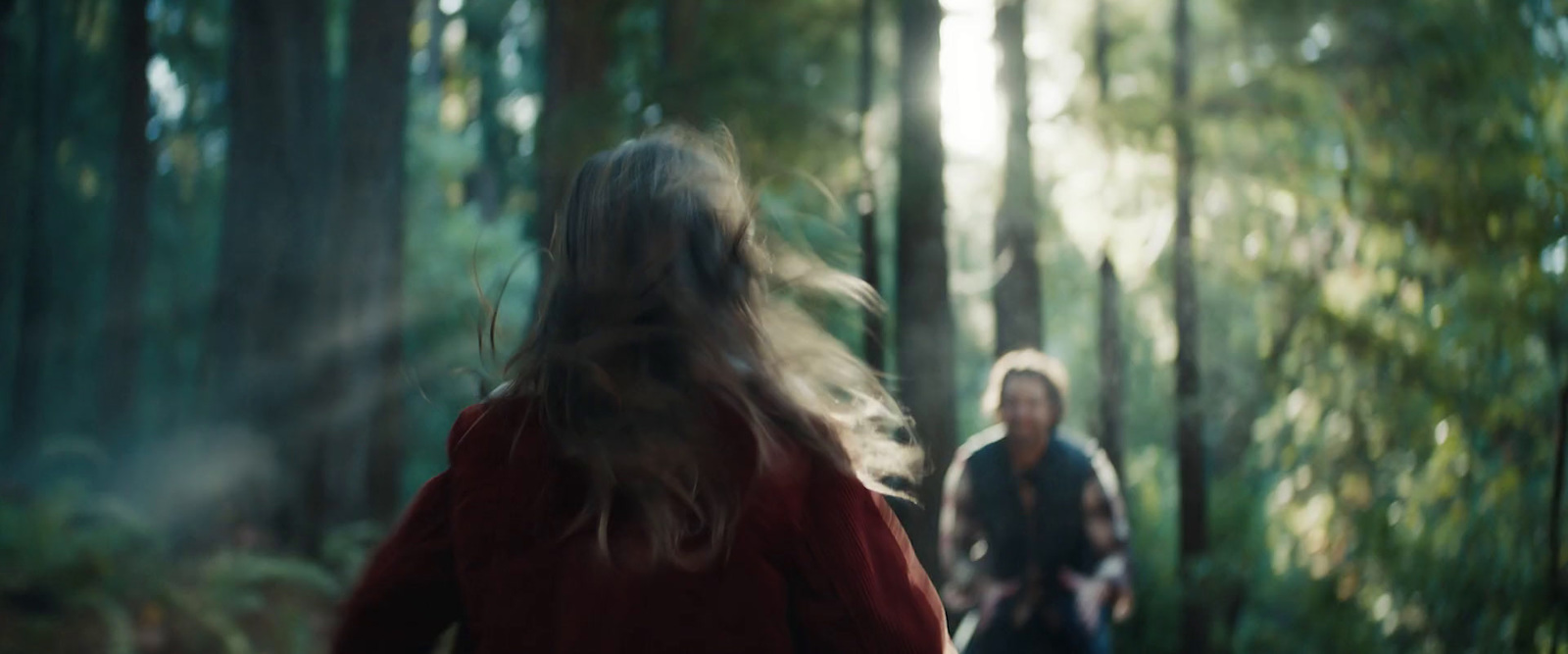 two people walking through a forest with trees