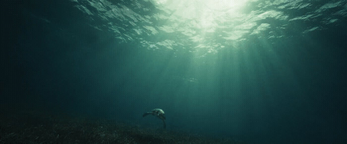 a person standing in the middle of a large body of water