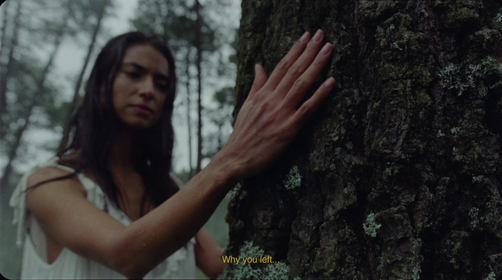 a woman standing next to a tree in a forest