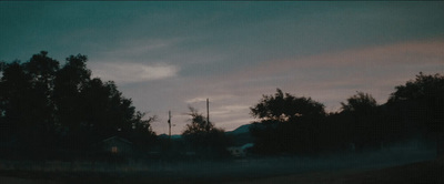 a blurry photo of a house and trees at dusk