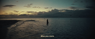 a person standing in the ocean at sunset