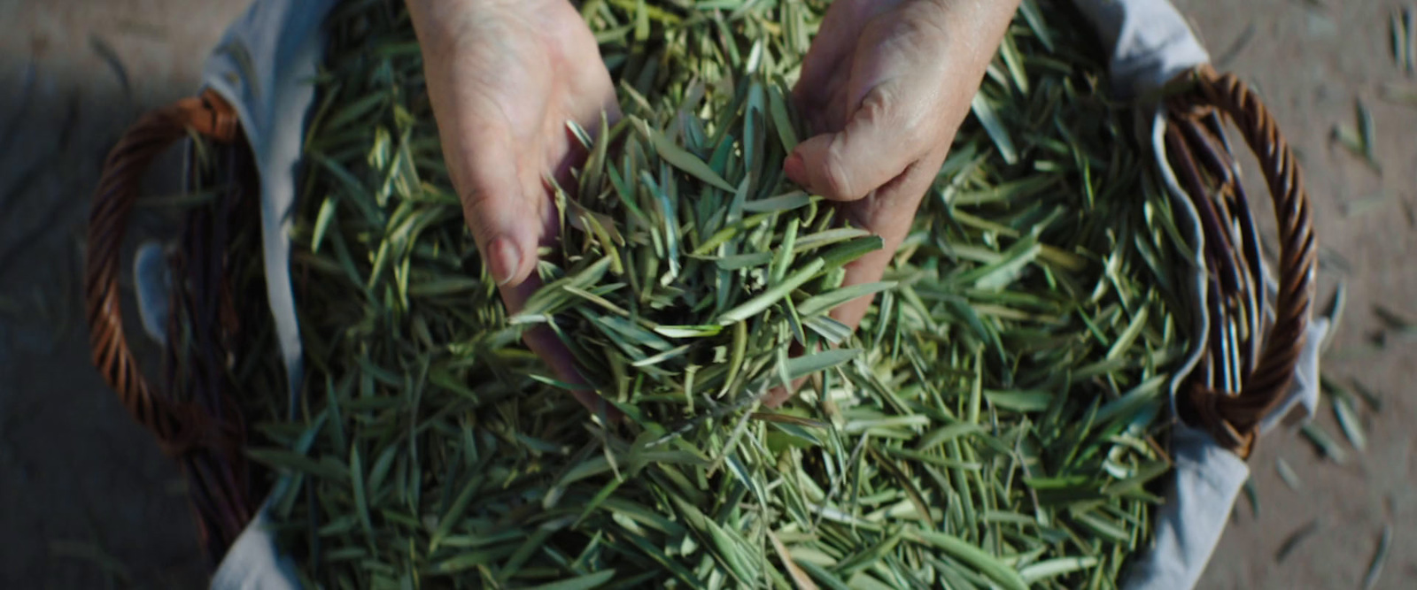 a basket filled with lots of green grass