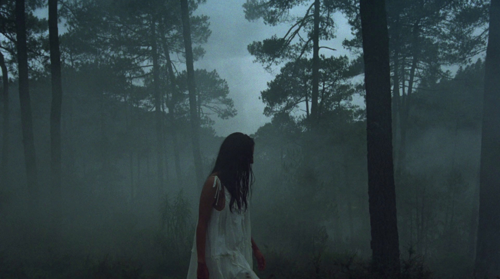 a woman in a white dress walking through a forest