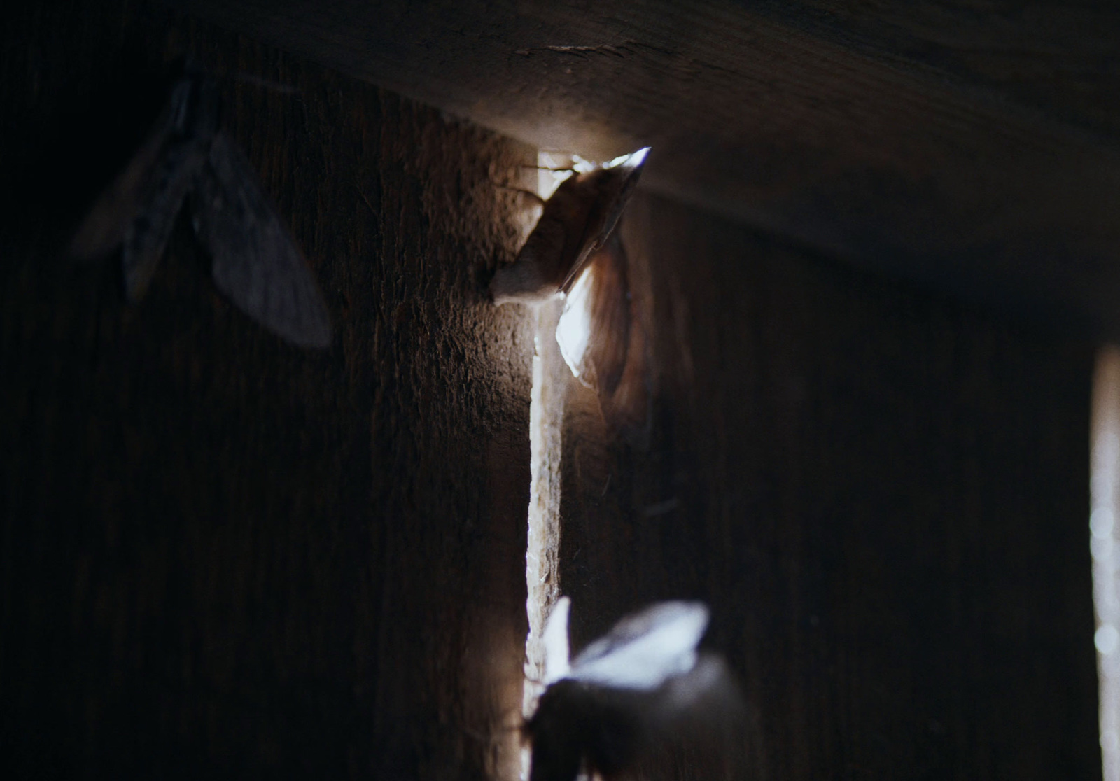 a close up of a light shining through a window