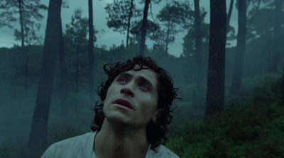 a man standing in a forest looking up at the sky