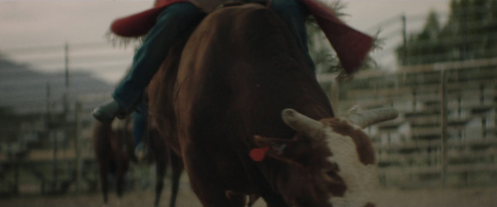 a man riding on the back of a brown horse