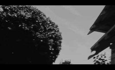 a black and white photo of a building and a tree