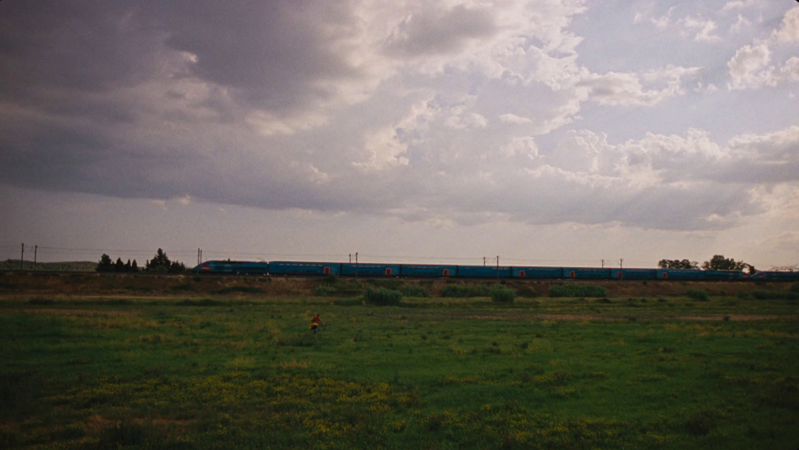 a blue train traveling through a lush green field