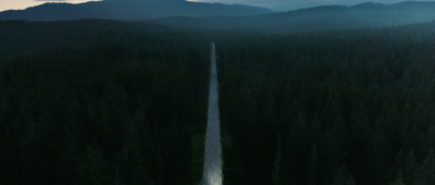 a long road in the middle of a forest