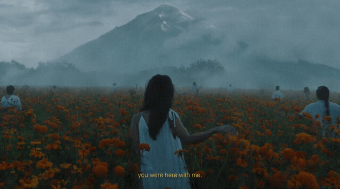 a group of people standing in a field of flowers