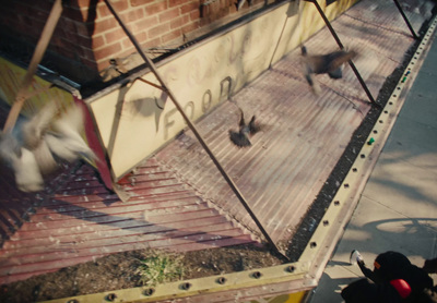 a group of birds flying around a building