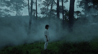 a man standing in the middle of a forest