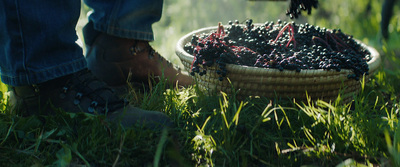 a person standing next to a basket full of berries