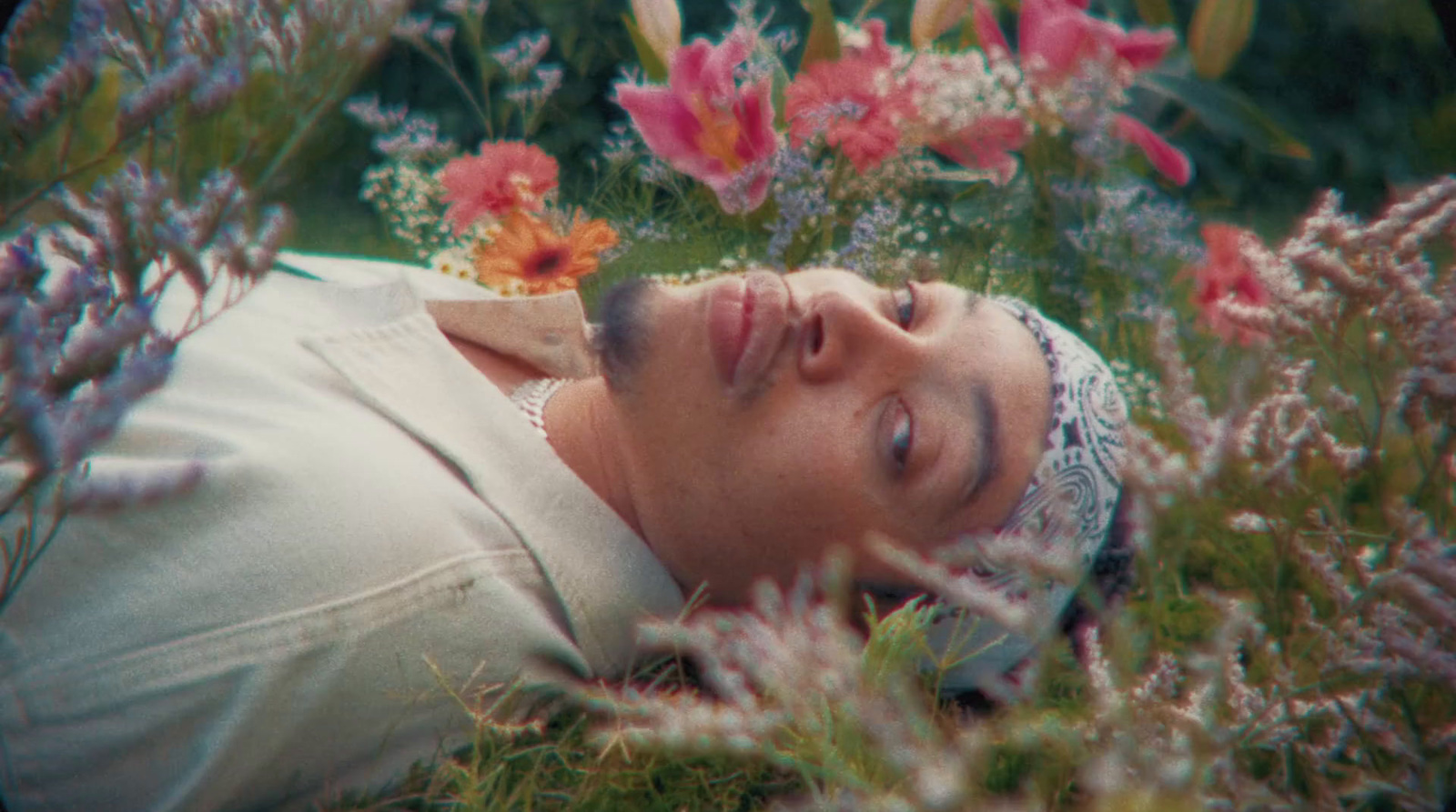 a man laying in a field of flowers