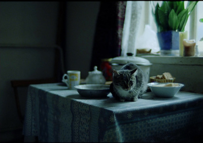 a cat sitting on a table next to a bowl of food