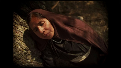 a woman in a brown shawl leaning against a tree