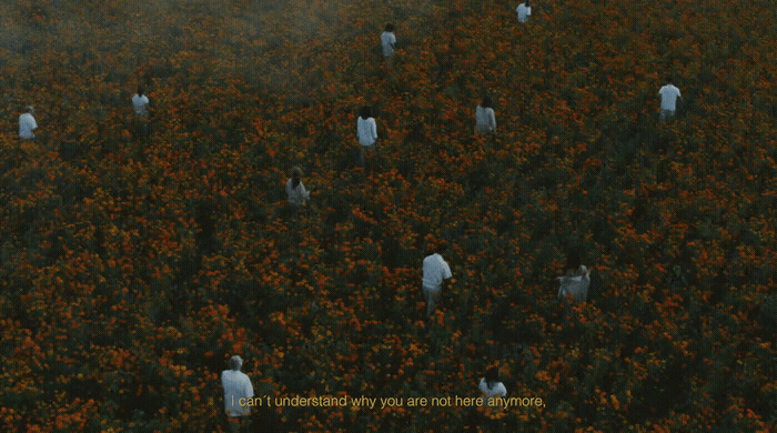 a group of people standing in a field of flowers