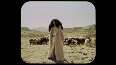 a woman standing in front of a herd of sheep