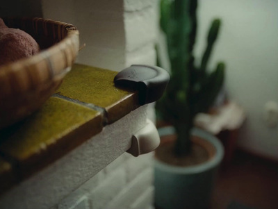 a potted plant sitting on top of a counter