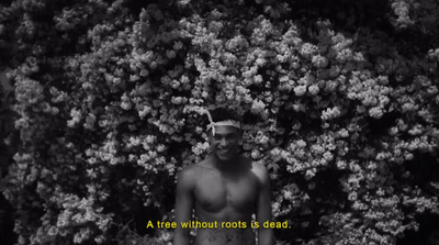 a man standing in front of a bush with a tree without roots is dead