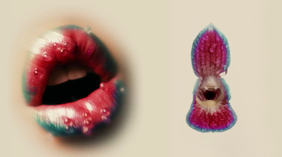 a close up of a person's mouth with a flower on it