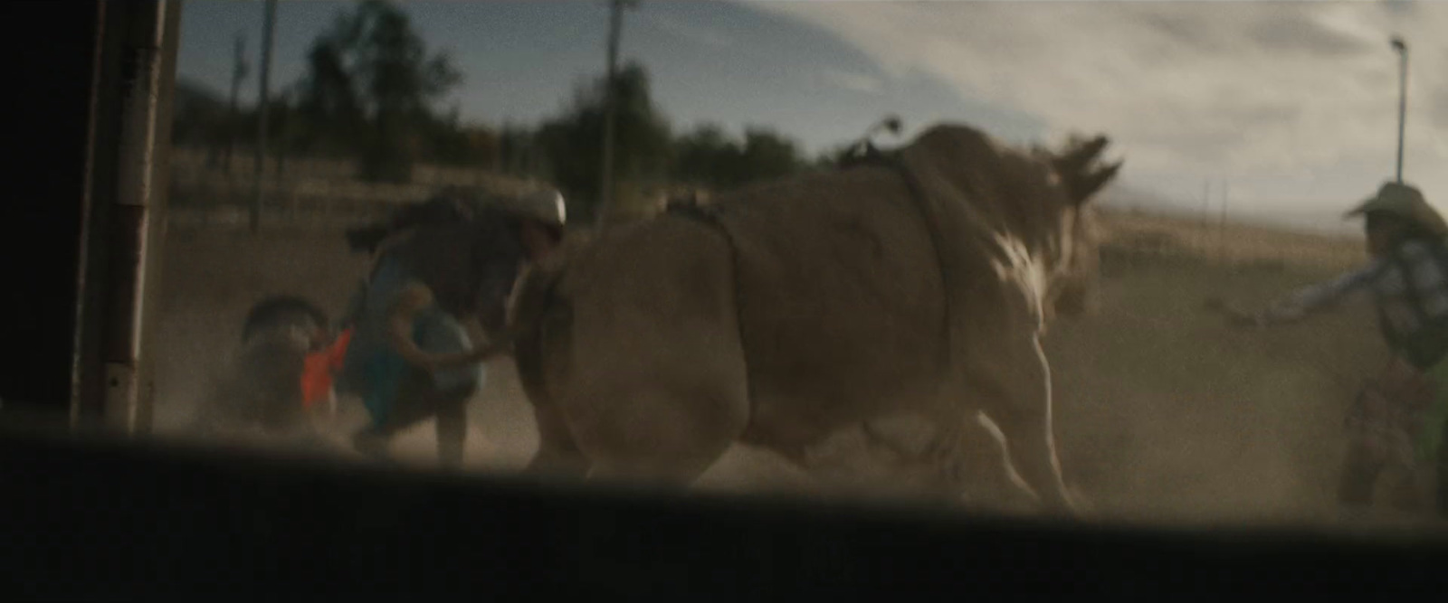 a group of people walking around a cow