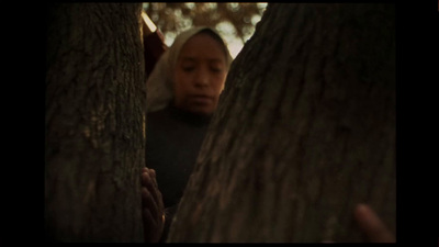 a man standing between two trees in a forest