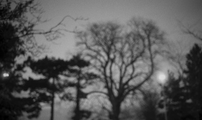 a black and white photo of trees and street lights