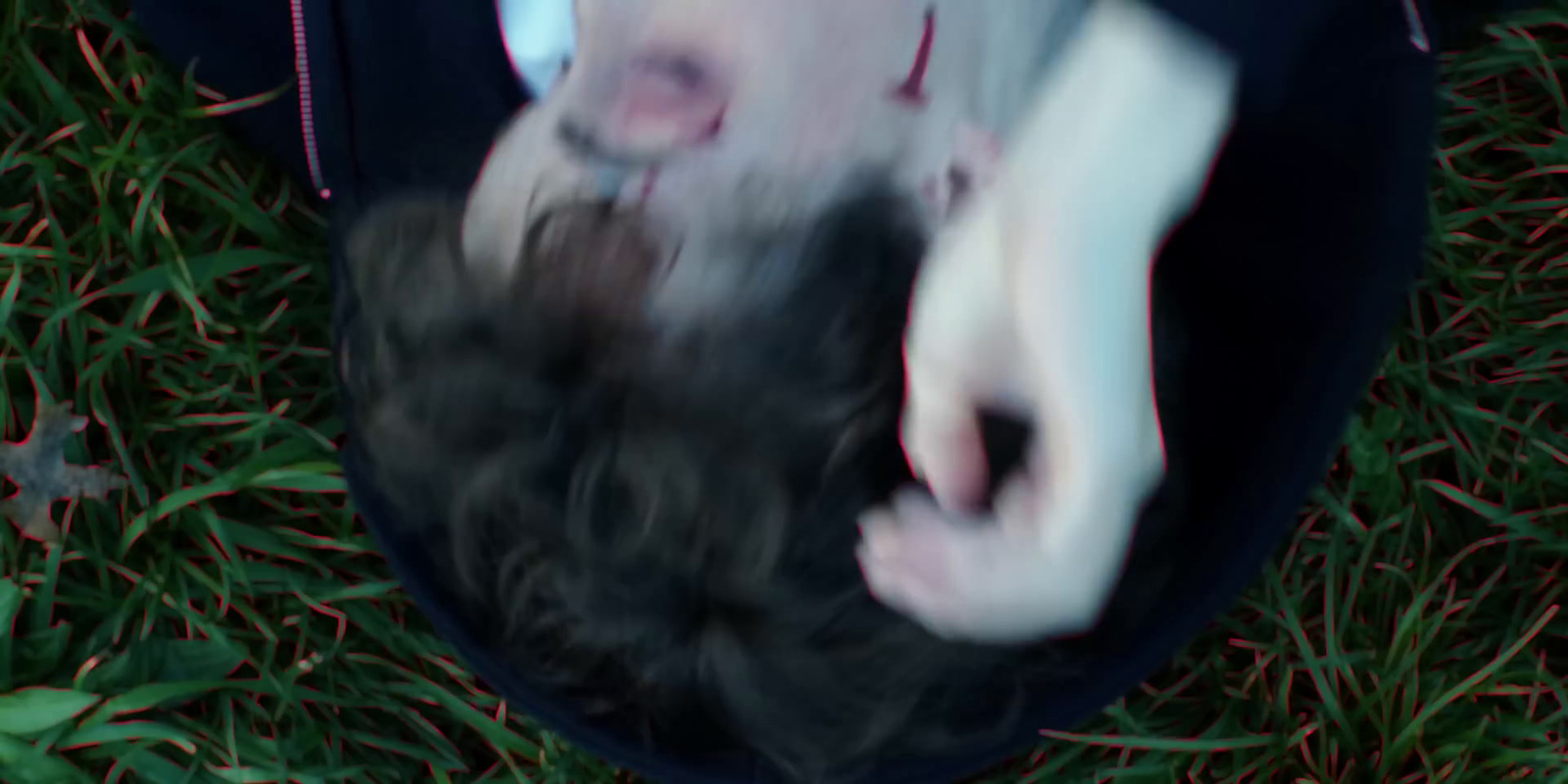 a close up of a person laying on the ground