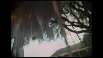 clothes hanging from a clothes line in front of a tree