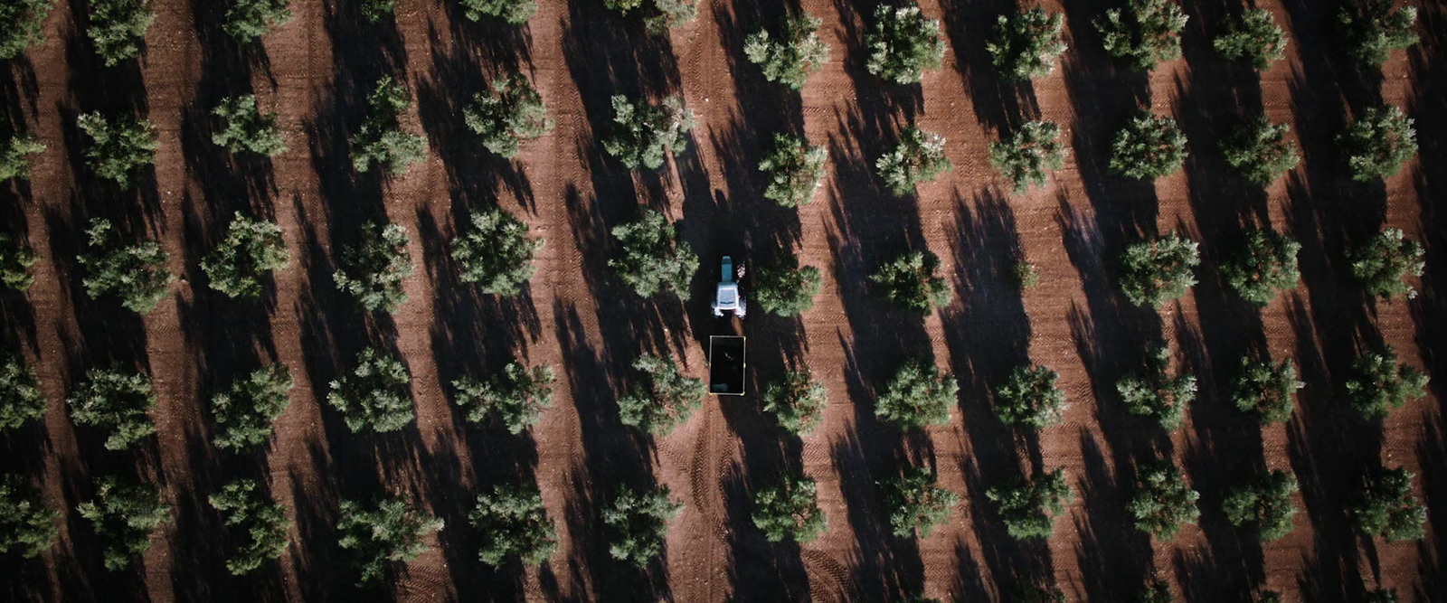 an aerial view of a person standing in the middle of a field