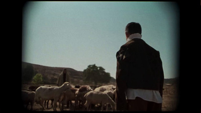 a man standing in front of a herd of sheep