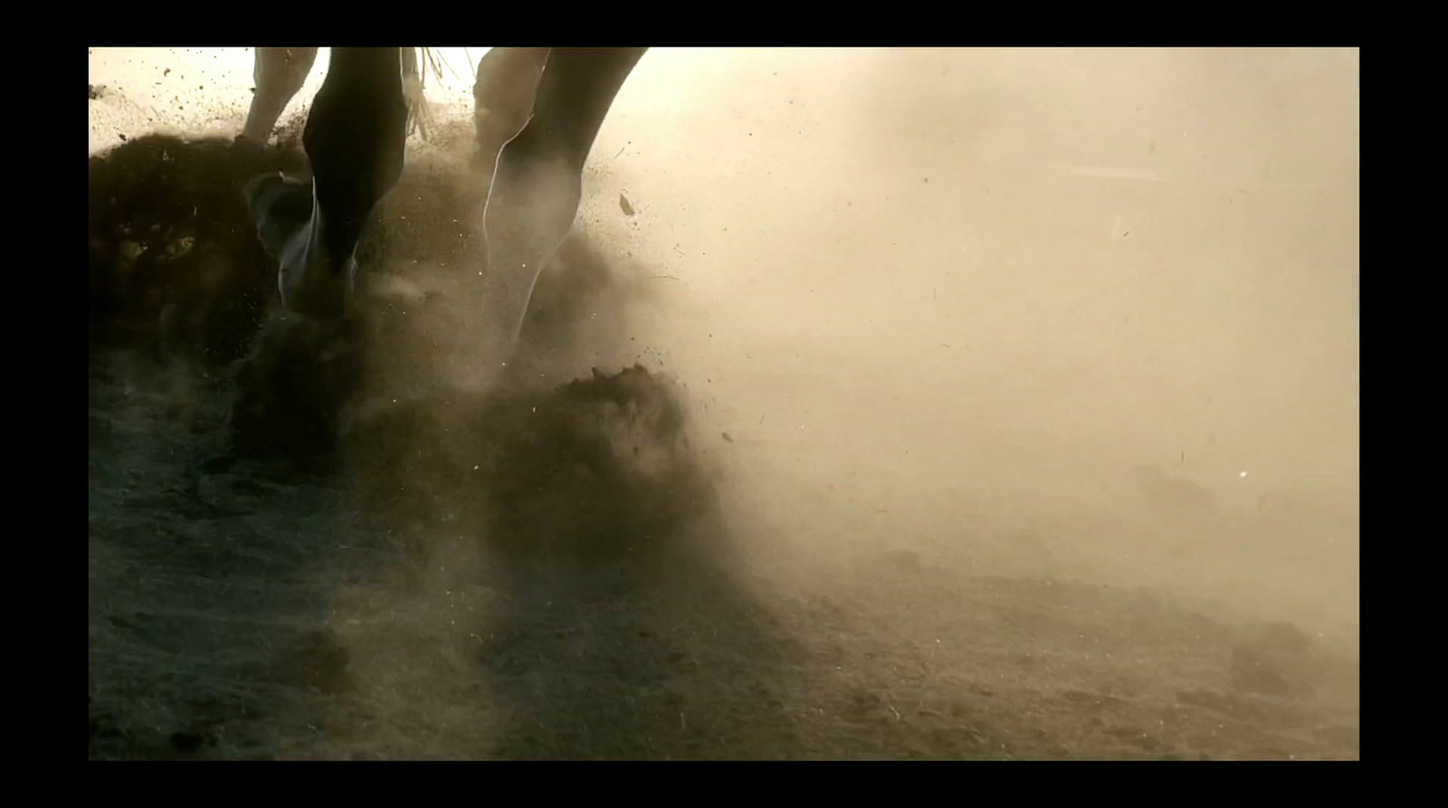 a group of horses standing on top of a dirt field