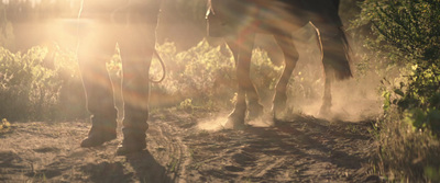 a close up of a horse walking on a dirt road