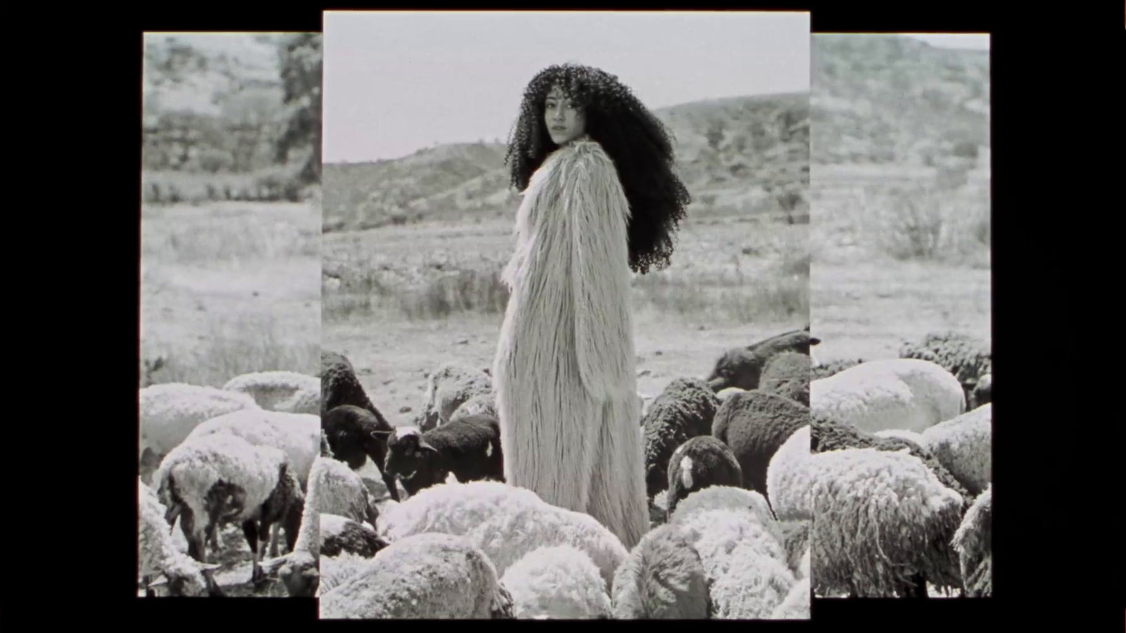 a black and white photo of a woman surrounded by sheep