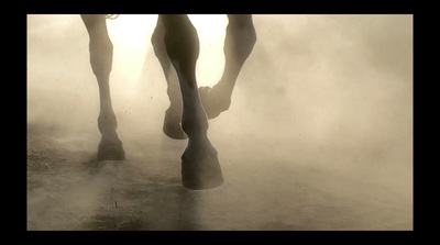 a horse standing in the fog with its legs up