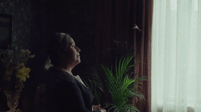 a woman standing in front of a window next to a potted plant