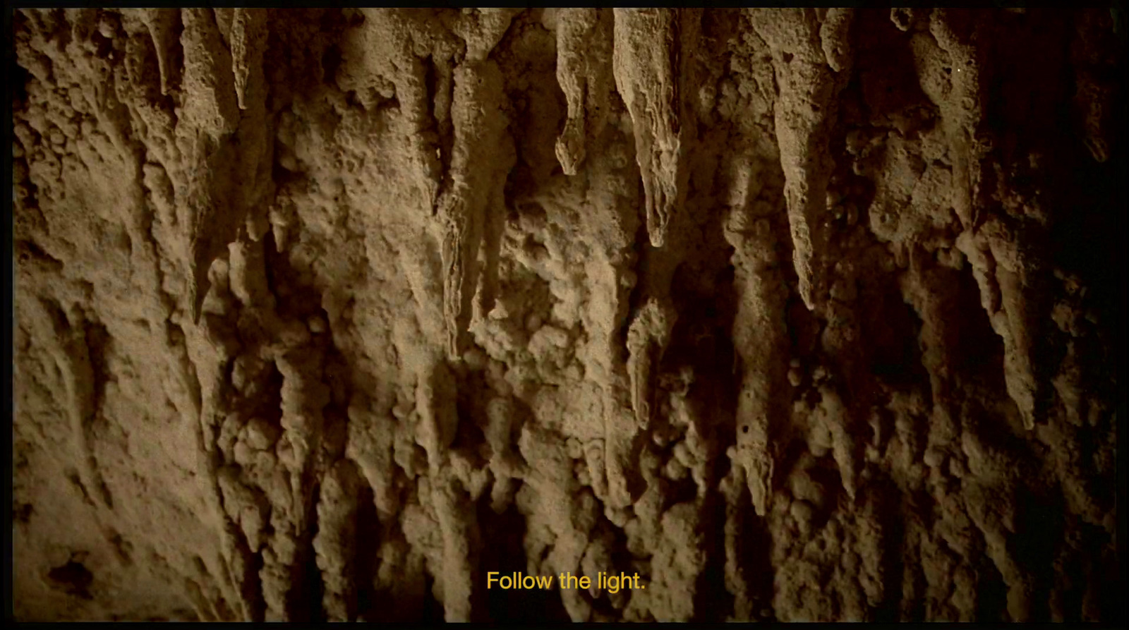 a close up of a rock face in the dark