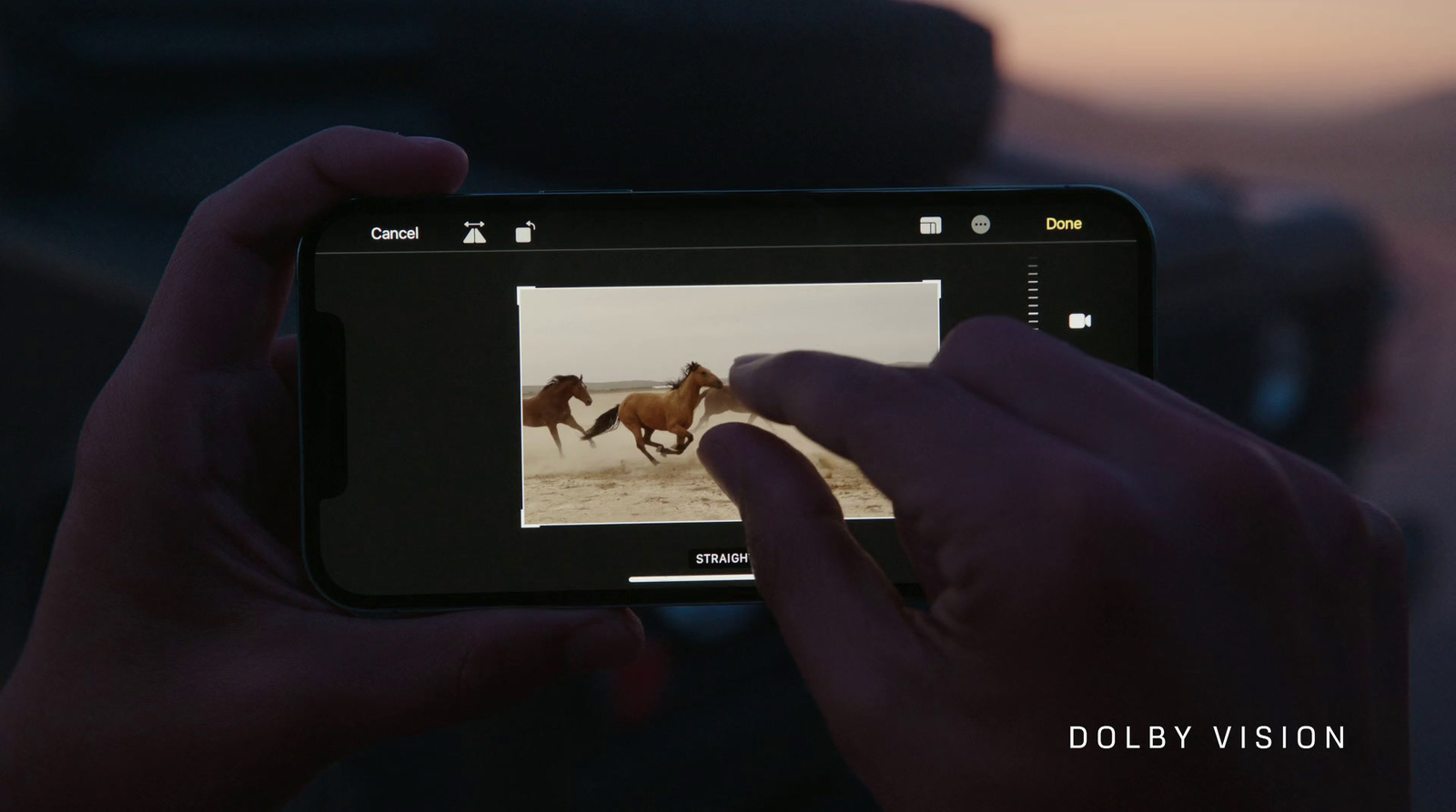 a person taking a picture of two horses