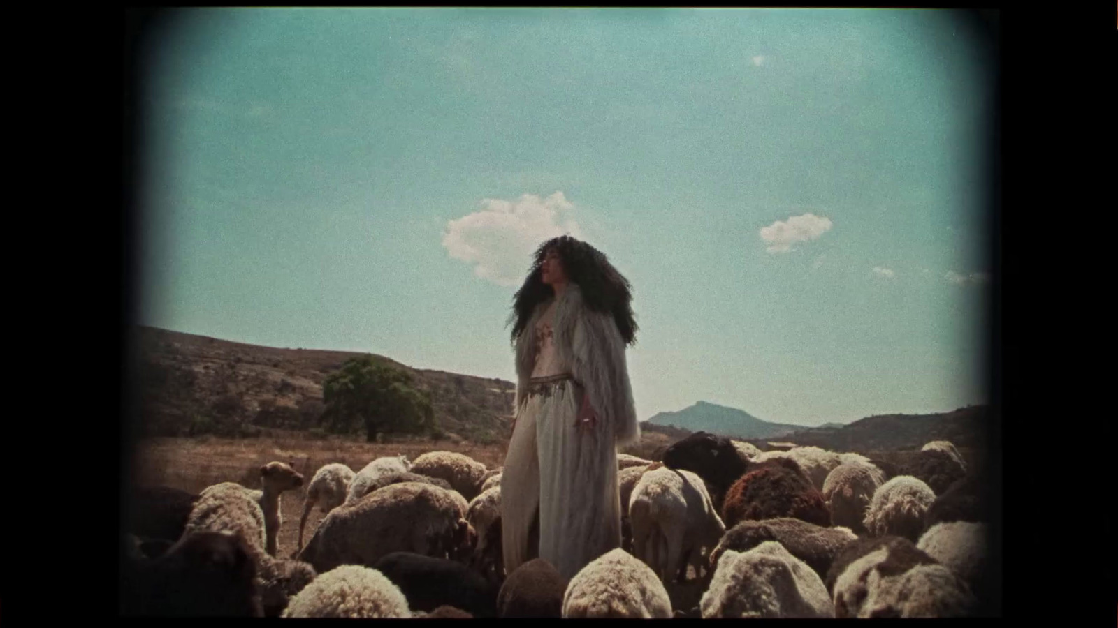 a woman standing in front of a herd of sheep