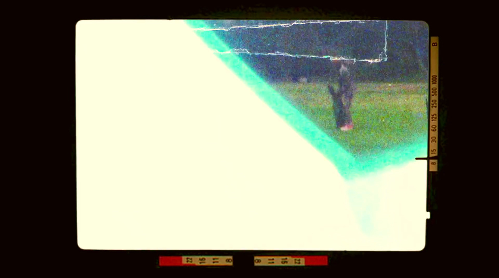 a man standing in a field with a frisbee